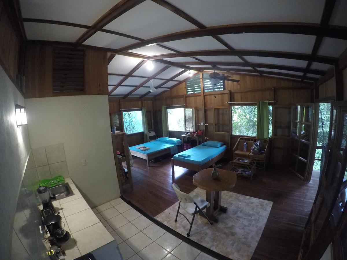 Cabanas Bajo Bosque Drake Drake Bay Exterior foto